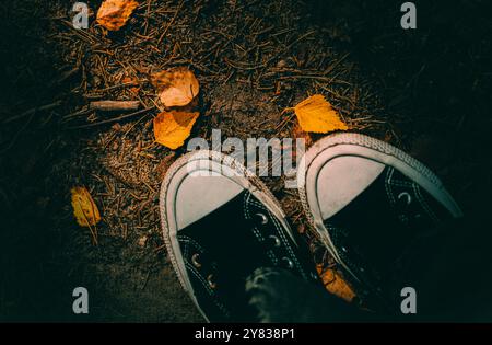 La lumière du soleil brille sur les chaussures de l'homme alors qu'il se tient sur le chemin, avec des feuilles de bouleau jaunes qui sont tombées couvrant le sol en ce jour d'automne Banque D'Images