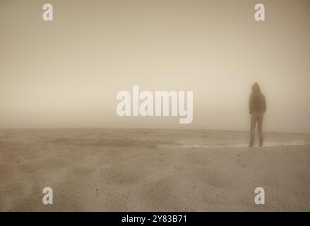 Image monochrome onirique d'une personne solitaire debout sur une plage vide regardant au-dessus de l'eau. Banque D'Images