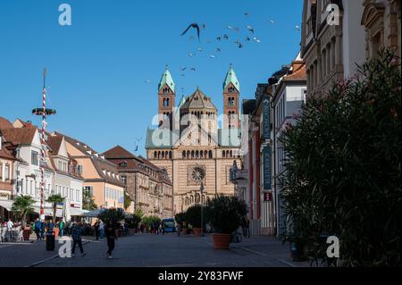 Dom in Speyer mit Maibaum in der Maximilianstraße , Deutschland, Rhénanie-Palatinat, Speyer, 02.10.2024, Wetter, Die Maximilianstraße in Speyer mit Blick auf den Dom, während eine Schar Tauben Tauben über dem Dom fliegt, an einem sonnigen Herbsttag *** Cathedral in Speyer with maypole in Maximilianstraße , Allemagne, Rhénanie-Palatinat, Speyer, 02 10 2024, météo, le Maximilianstraße à Speyer avec vue sur la cathédrale, tandis qu'un troupeau de pigeons survole la cathédrale, par un jour d'automne ensoleillé Banque D'Images