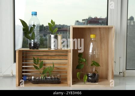 Concept de recyclage. Boîte en métal, bouteilles en plastique et caisses en bois avec des plantes sur le rebord de la fenêtre Banque D'Images