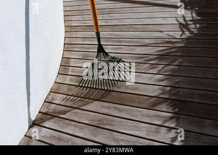 Râteau à feuilles brillant à la lumière du soleil : un aperçu de l'automne Banque D'Images