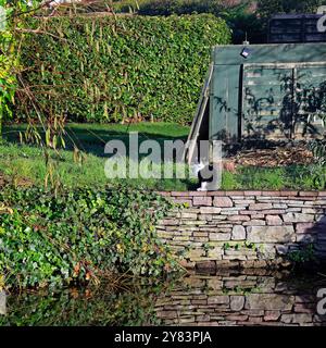 Brecon. Automne - octobre Banque D'Images