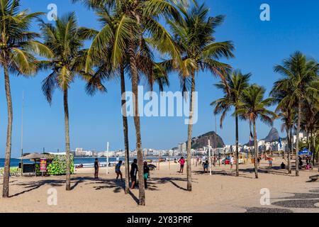 Plage de Copacabana, avec des palmiers, Rio de Janeiro, Brésil Banque D'Images