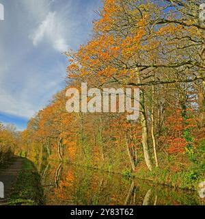 Brecon. Automne - octobre Banque D'Images