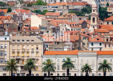 Split Croatia,Varos,Church of the Holy Cross Crkva Svetoga Kriza Catholic,Church and Couvent of divers Francis Crkva i samostan svetoga Frane,Croatian eu Banque D'Images