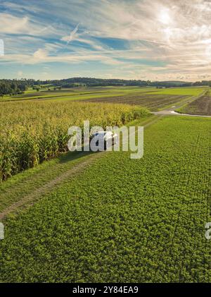 Voiture noire conduisant sur une piste de terre à côté d'un champ de maïs dans un paysage agricole vert sous un beau ciel, Carsharing, VW ID5, Calw, Forêt Noire Banque D'Images