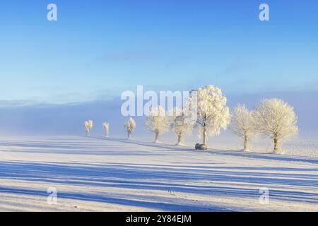 Voiture conduisant sur une route de campagne avec des arbres givrés et du brouillard sur une plaine par une froide journée d'hiver dans la campagne. Suède Banque D'Images