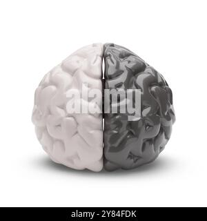 Cerveau humain moitié noir et moitié blanc isolé sur fond blanc. illustration 3d. Banque D'Images