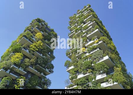 Bosco verticale, tour jumelle, tour verte avec arbres et arbustes, Porta Nuova, Milan, Lombardie, Italie, Europe Banque D'Images