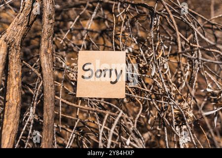 mot désolé écrit et dessiné sur du carton recyclé avec un fond d'écorce d'arbre texturé. Banque D'Images