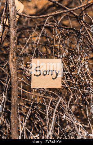 mot désolé écrit et dessiné sur du carton recyclé avec un fond d'écorce d'arbre texturé. Banque D'Images