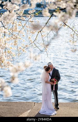 WASHINGTON DC, États-Unis — Une mariée et un marié posent pour des photos de mariage sous les fleurs de cerisier en fleurs au Tidal Basin à Washington DC. Le couple, vêtu d'une tenue de mariage traditionnelle, se tient au milieu des délicates fleurs roses et blanches des cerisiers Yoshino. Cette scène romantique, avec pour toile de fond l'une des attractions printanières les plus emblématiques de la capitale, capture la magie d'une célébration de mariage pendant le festival national des cerisiers en fleurs. Banque D'Images