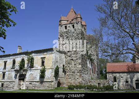 Ruines du château de Pottendorf, Autriche, Europe Banque D'Images