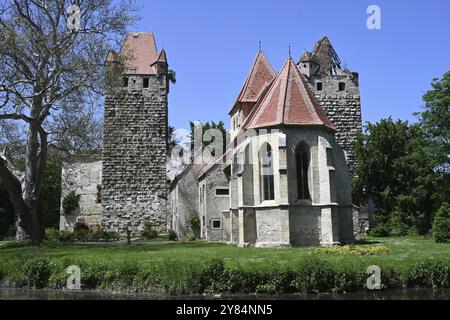 Ruines du château de Pottendorf, Autriche, Europe Banque D'Images