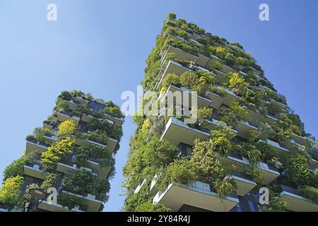 Bosco verticale, tour jumelle, tour verte avec arbres et arbustes, Porta Nuova, Milan, Lombardie, Italie, Europe Banque D'Images