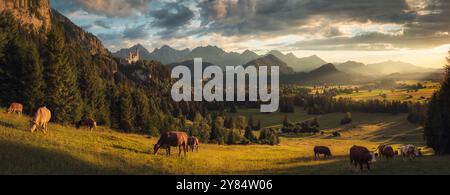 Idylle rurale panoramique parfait en Allemagne avec des vaches en pâturage sur une prairie, des montagnes pittoresques, de beaux rayons de soleil et un ciel spectaculaire Banque D'Images