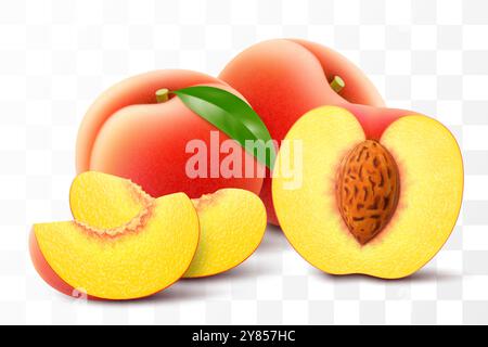 Illustration de fruits de pêche mûrs. Moitié, entier et tranche juteux de pêche isolé sur fond transparent. Ensemble de vecteurs 3D réaliste. Velouté, orang doré Illustration de Vecteur