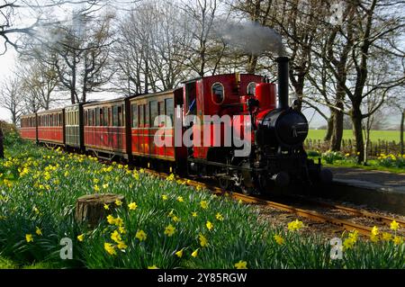 No 6, Douglas, locomotive, Rhydyronen Station, Tal y Llyn Railway, pays de Galles du Nord, Banque D'Images