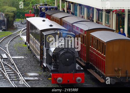 No 4, Thomas Edward, Twywn Wharf, Station, Tal y Llyn, voie étroite, chemin de fer, pays de Galles du Nord, Royaume-Uni. Banque D'Images