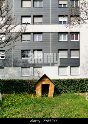 Une maison de chien en bois nichée dans une zone herbeuse à côté d'un immeuble d'appartements moderne pendant la journée Banque D'Images