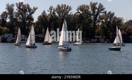 Serbie, 28 septembre 2024 : une régate de voile de Micro Class a eu lieu sur la Save à Belgrade Banque D'Images
