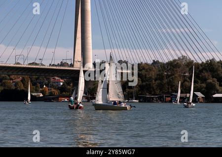 Serbie, 28 septembre 2024 : une régate de voile de Micro Class a eu lieu sur la Save à Belgrade Banque D'Images
