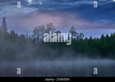 Juin, nuit en taïga. Lac avec forêt et ciel crépusculaire bleu. Paysage du nord de l'Europe, Kuhmo en Finlande. Arbre dans la forêt, Finlande, Europe. Brouillard n Banque D'Images