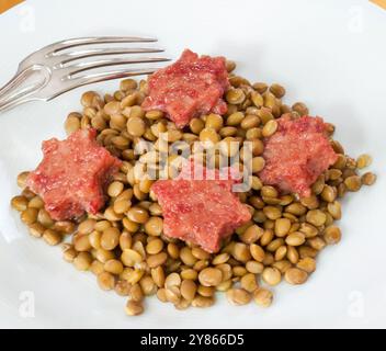 Mijoter des lentilles avec des tranches de cotechino en forme d'étoile servies dans une assiette, avec une fourchette reposant sur le bord Banque D'Images