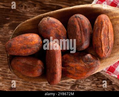 Plusieurs fèves de cacao sont assis dans une cuillère en bois sur une table en bois rustique, mettant en valeur l'ingrédient brut avant le traitement Banque D'Images