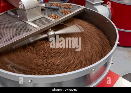 Le processus de torréfaction d'un lot de grains de café biologiques de haute qualité dans un grand torréfacteur industriel, Manizales, Colombie - photo stock Banque D'Images