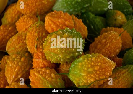 Un fruit mûr momordica, communément appelé melon amer, exposé dans un marché animé de Samarcande, en Ouzbékistan, le long de la route historique de la soie. Connu fo Banque D'Images