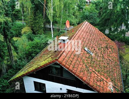 Vue aérienne d'un toit de maison couvert de mousse verte luxuriante, nécessitant nettoyage et entretien. Moss ajoute une touche de nature aux carreaux rouges contre le backdr de jour ensoleillé Banque D'Images