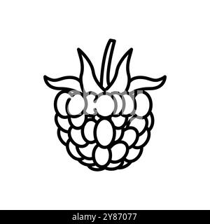 Vecteur d'icône de ligne de fruits de framboise douce. signe de fruits de framboise sucrés. illustration noire du symbole de contour isolé Illustration de Vecteur