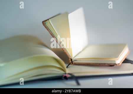 Deux carnets ouverts. Nettoyer les pages. Liège. Banque D'Images