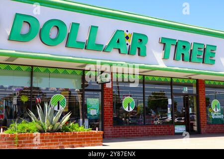 DOLLAR TREE Store, chaîne américaine de magasins de variété discount qui vend des articles pour 1 dollar ou moins Banque D'Images