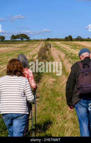 Les marcheurs se rencontrent sur un sentier public dans le parc national de South Downs à l'est de Pyecombe dans le Sussex, en Angleterre. Banque D'Images