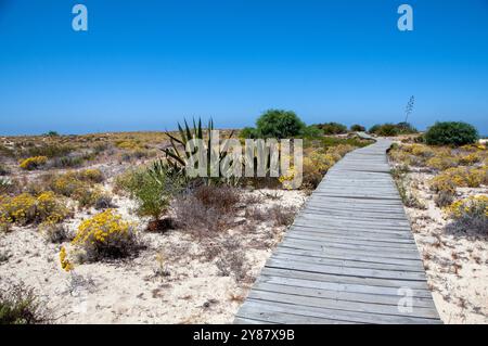 Ilha Deserta - Faro - Portogallo Banque D'Images