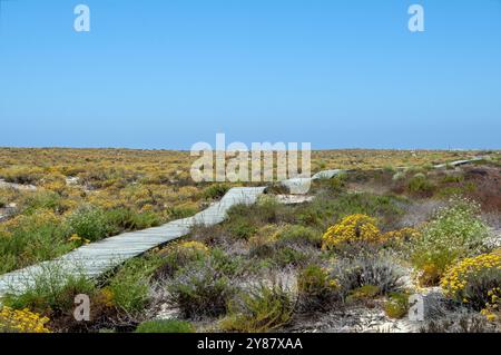 Ilha Deserta - Faro - Portogallo Banque D'Images