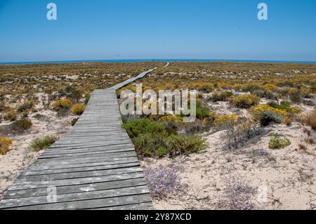 Ilha Deserta - Faro - Portogallo Banque D'Images