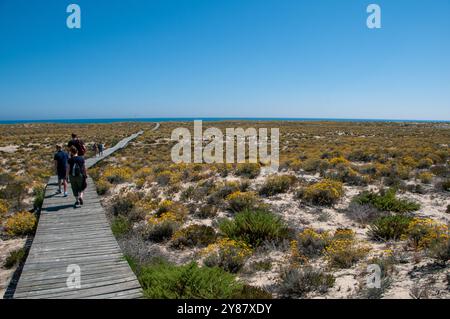 Ilha Deserta - Faro - Portogallo Banque D'Images