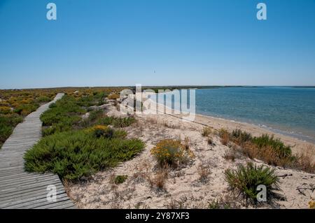 Ilha Deserta - Faro - Portogallo Banque D'Images