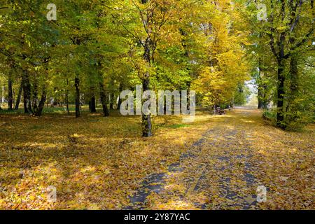 Beau paysage du parc d'automne avec sentier de randonnée. Banque D'Images