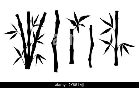 Tige d'arbre de bambou avec silhouette de feuilles. Ensemble d'arbre de bambou. Illustration vectorielle Illustration de Vecteur