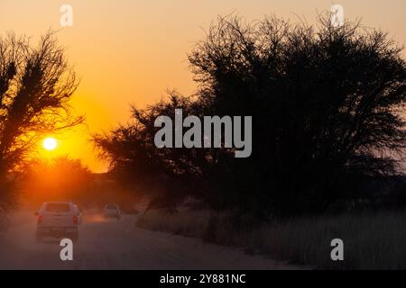 Askham, Afrique du Sud - 03 septembre 2022 : voitures au lever du soleil dans le parc transfrontalier de Kgalagadi, en Afrique du Sud Banque D'Images