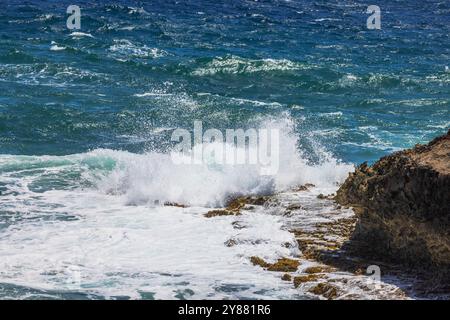 Les vagues s'écrasent sur un rivage rocheux à Aruba, les eaux bleues vives de la mer des Caraïbes sous un ciel ensoleillé. Banque D'Images