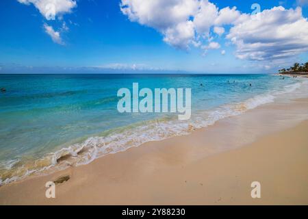 Journée ensoleillée à la plage calme à Aruba avec des vagues douces se lavant sur du sable doux sous un ciel bleu vif. Banque D'Images