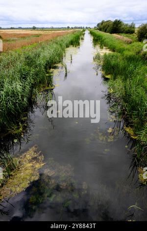 Burwell Lode près de Wicken Fen Cambridgeshire Angleterre Banque D'Images