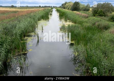 Burwell Lode près de Wicken Fen Cambridgeshire Angleterre Banque D'Images