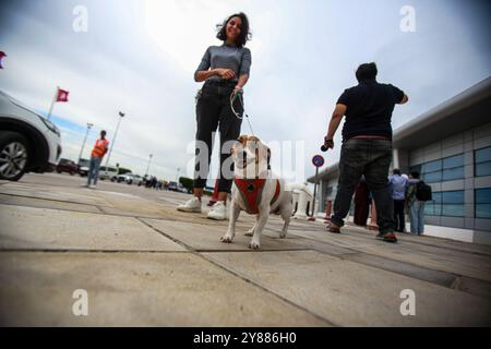 Tunis, Tunisie. 3 octobre 2024. Tunis, Tunisie. 03 octobre 2024. Les Tunisiens arrivent à l'aéroport de Tunis Carthage après avoir quitté le Liban. Des ressortissants étrangers ont fui le Liban jeudi alors que les gouvernements du monde entier exhortaient leurs citoyens à sortir suite à l’intensification des bombardements israéliens de la capitale Beyrouth. Les autorités tunisiennes ont pu évacuer certains de leurs citoyens du Liban malgré un certain retard dans le chaos causé par l’escalade de l’offensive militaire israélienne dans le pays (crédit image : © Hasan Mrad/IMAGESLIVE via ZUMA Press Wire) USAGE ÉDITORIAL SEULEMENT ! Non destiné à des fins commerciales Banque D'Images