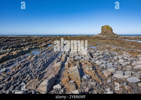 La marée basse révèle des rochers étonnants, y compris le célèbre Black Rock à Widemouth Bay Beach en Cornouailles Banque D'Images